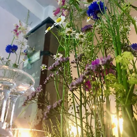 Cafe Nobis 호텔 뮌스터