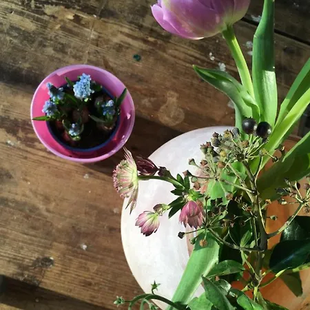 호텔 Cafe Nobis